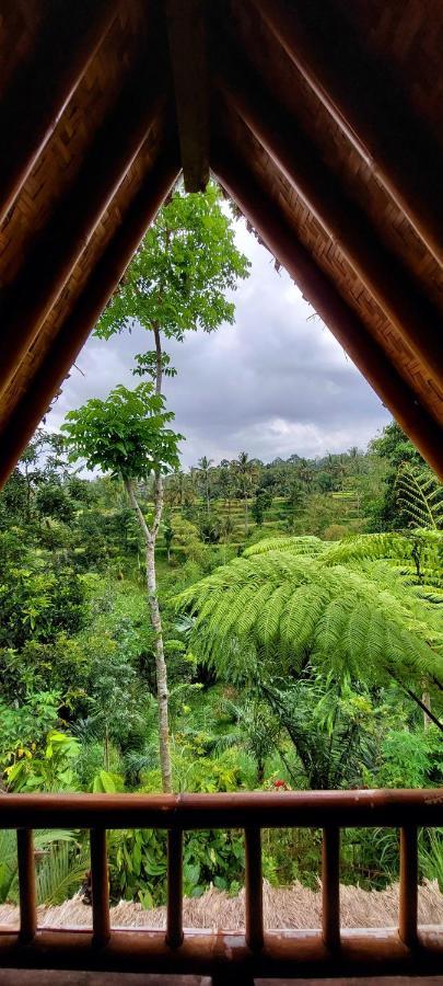 Second Home Bungalows Tetebatu Bagian luar foto