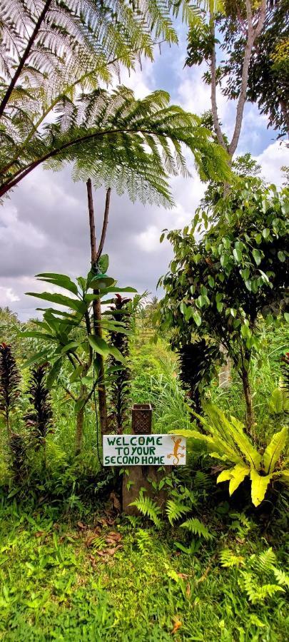 Second Home Bungalows Tetebatu Bagian luar foto