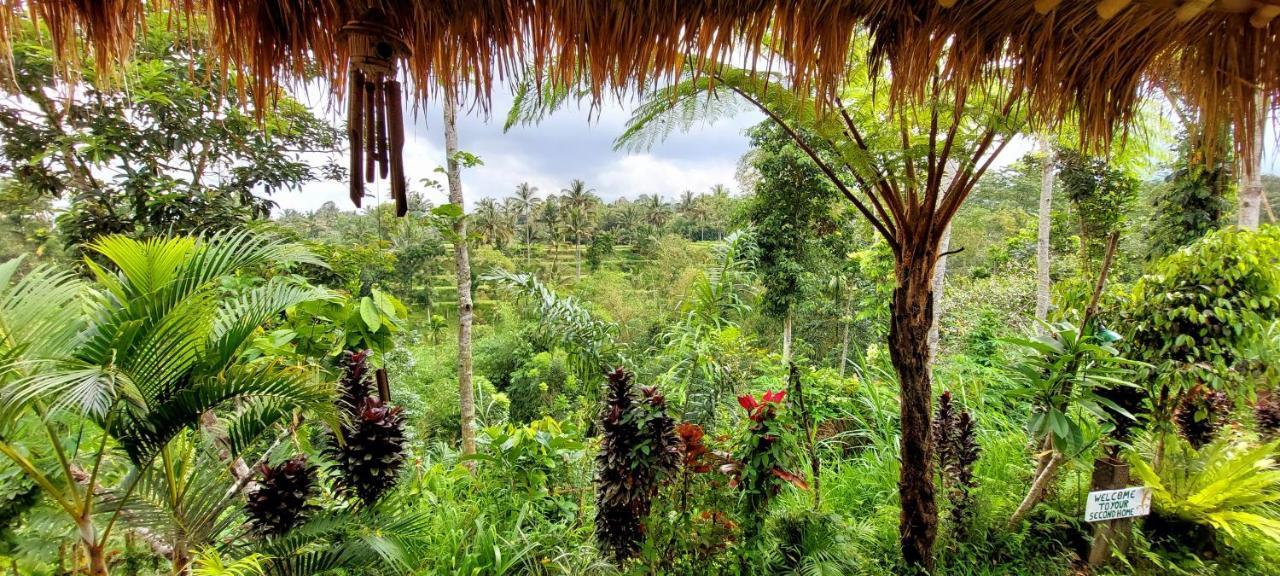 Second Home Bungalows Tetebatu Bagian luar foto