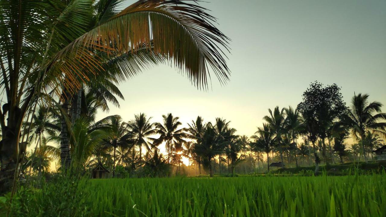 Second Home Bungalows Tetebatu Bagian luar foto