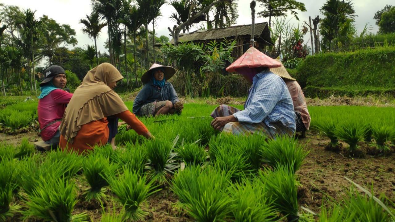 Second Home Bungalows Tetebatu Bagian luar foto