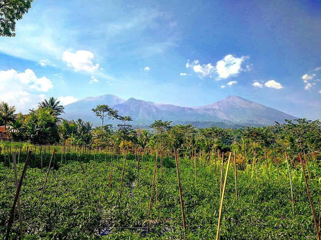 Second Home Bungalows Tetebatu Bagian luar foto
