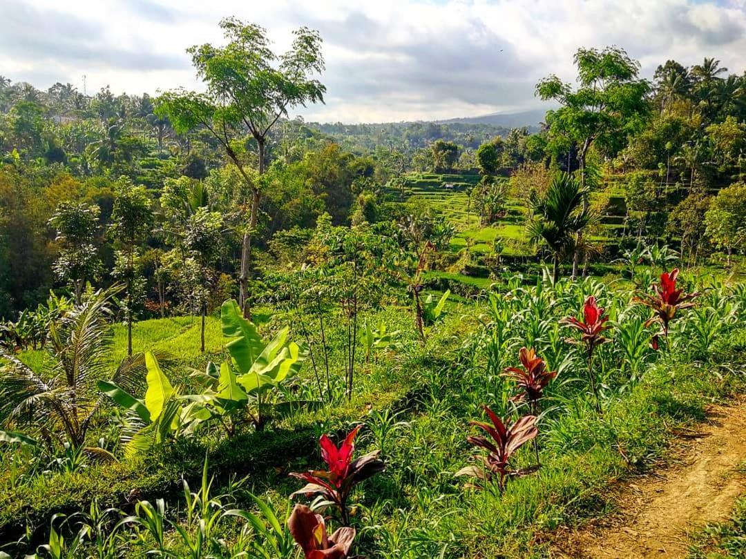 Second Home Bungalows Tetebatu Bagian luar foto